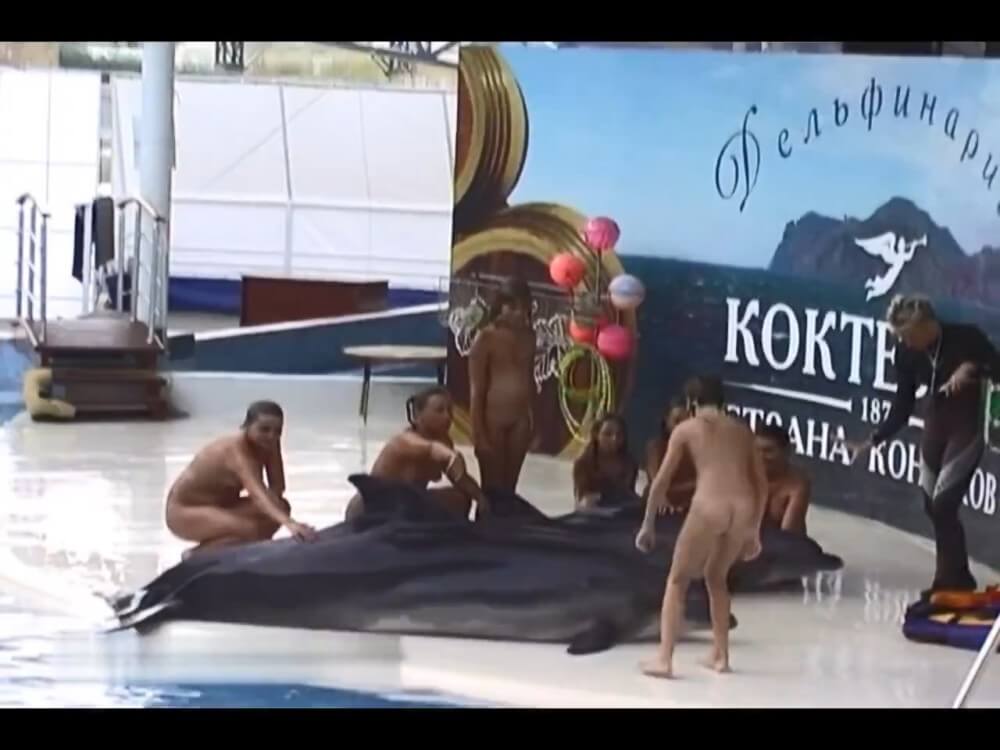 Relaxing at the dolphinarium - In naturism, people are equal regardless of circumstances